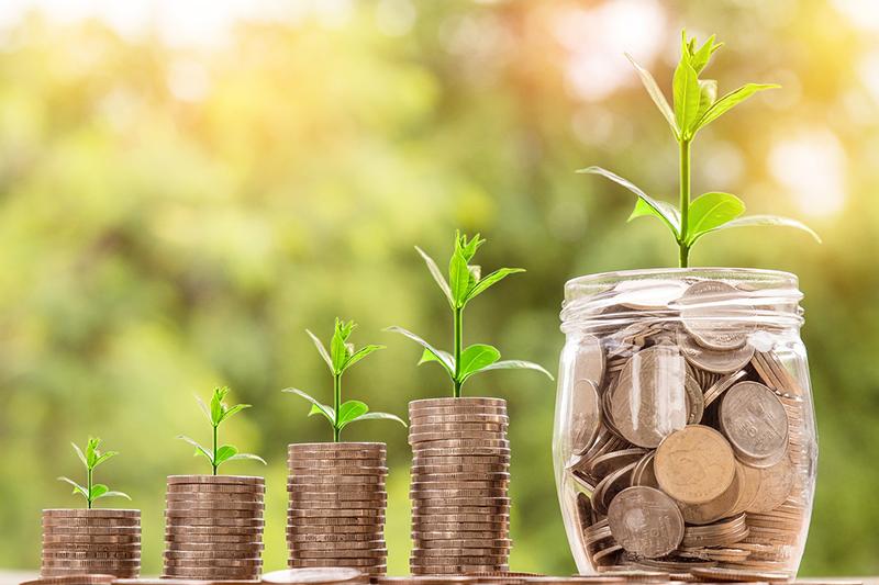 Ideas para ganar dinero desde casa: Incluyendo el negocio de alquiler de autos