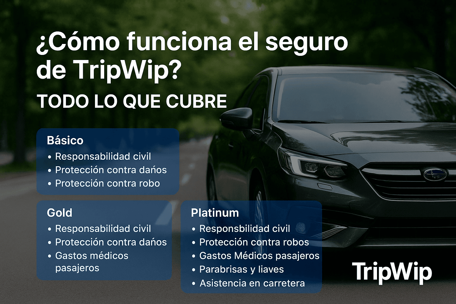 ¿Cómo funciona el seguro de TripWip? Todo lo que cubre