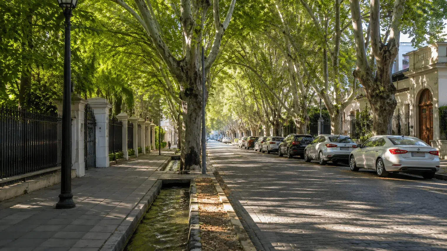 Cómo moverse en Mendoza: Metrotranvía, colectivos y auto (2026)