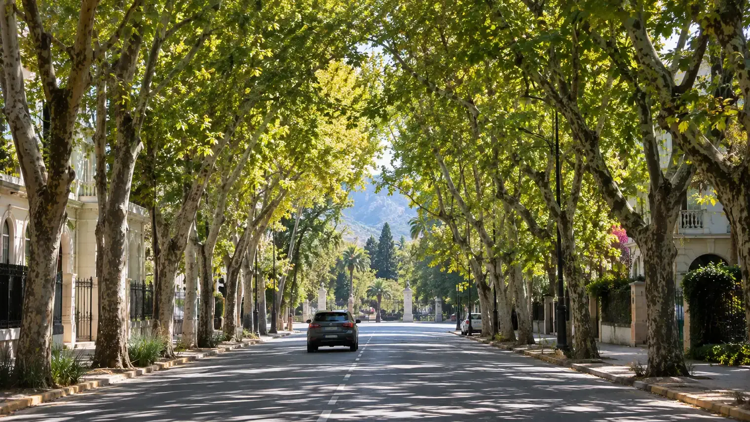 Las calles más lindas de Mendoza para manejar