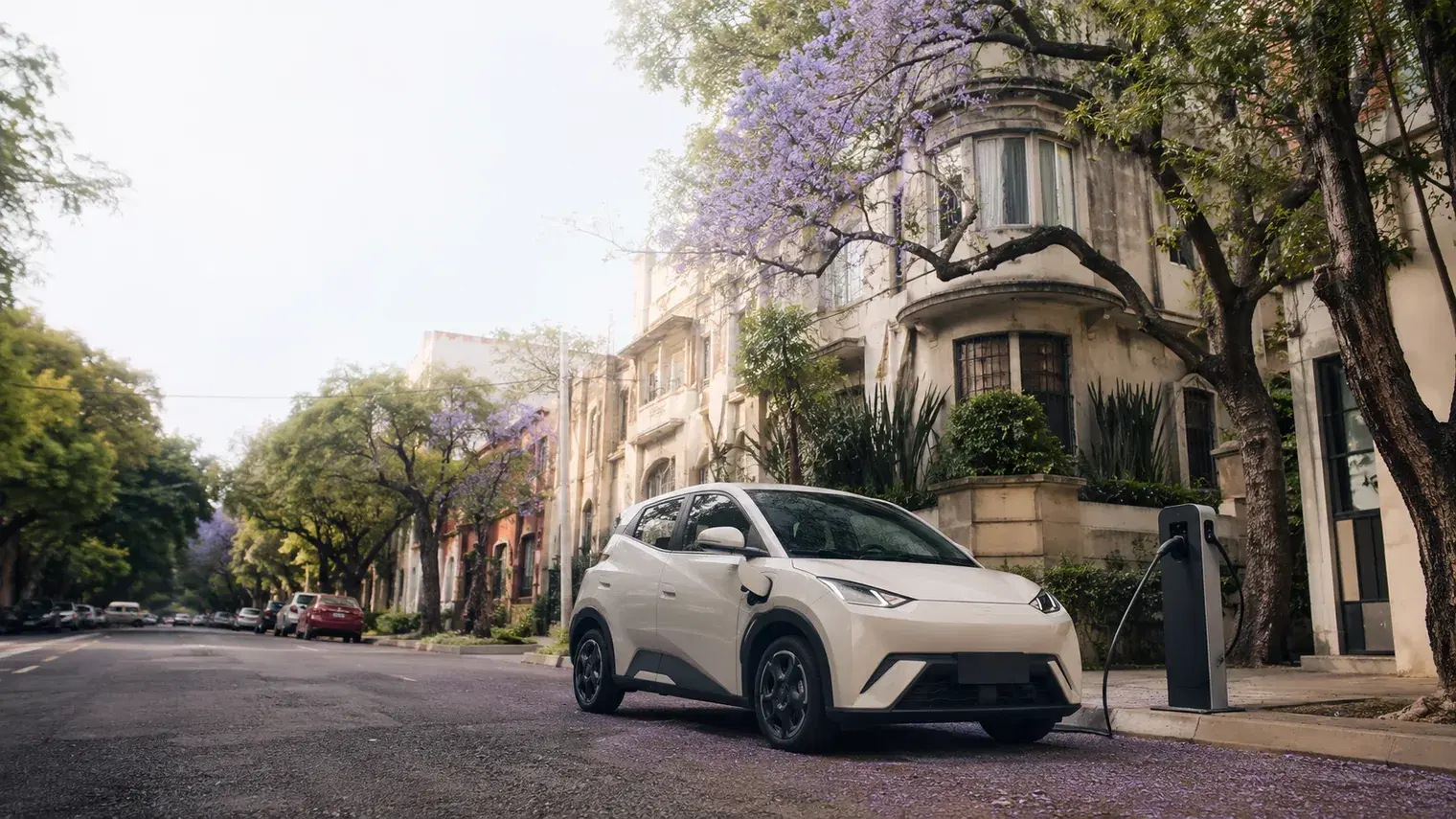 Rentar un BYD Dolphin Mini en Ciudad de México en septiembre 2026: por qué conviene, precio y recorridos