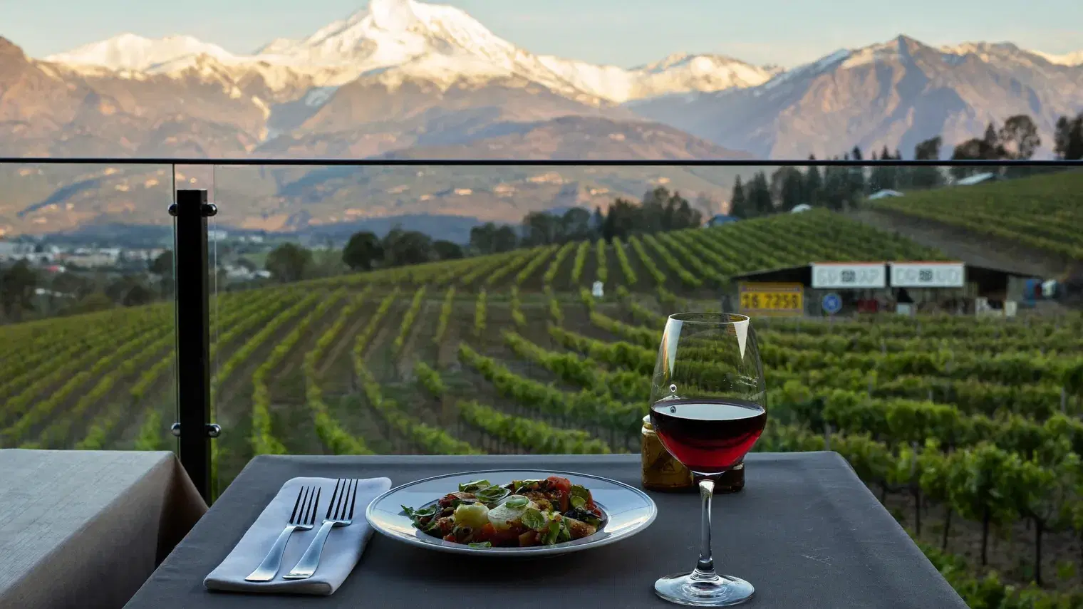 Restaurantes en Mendoza: los 9 con estrella Michelin 2026 y dónde queda cada uno
