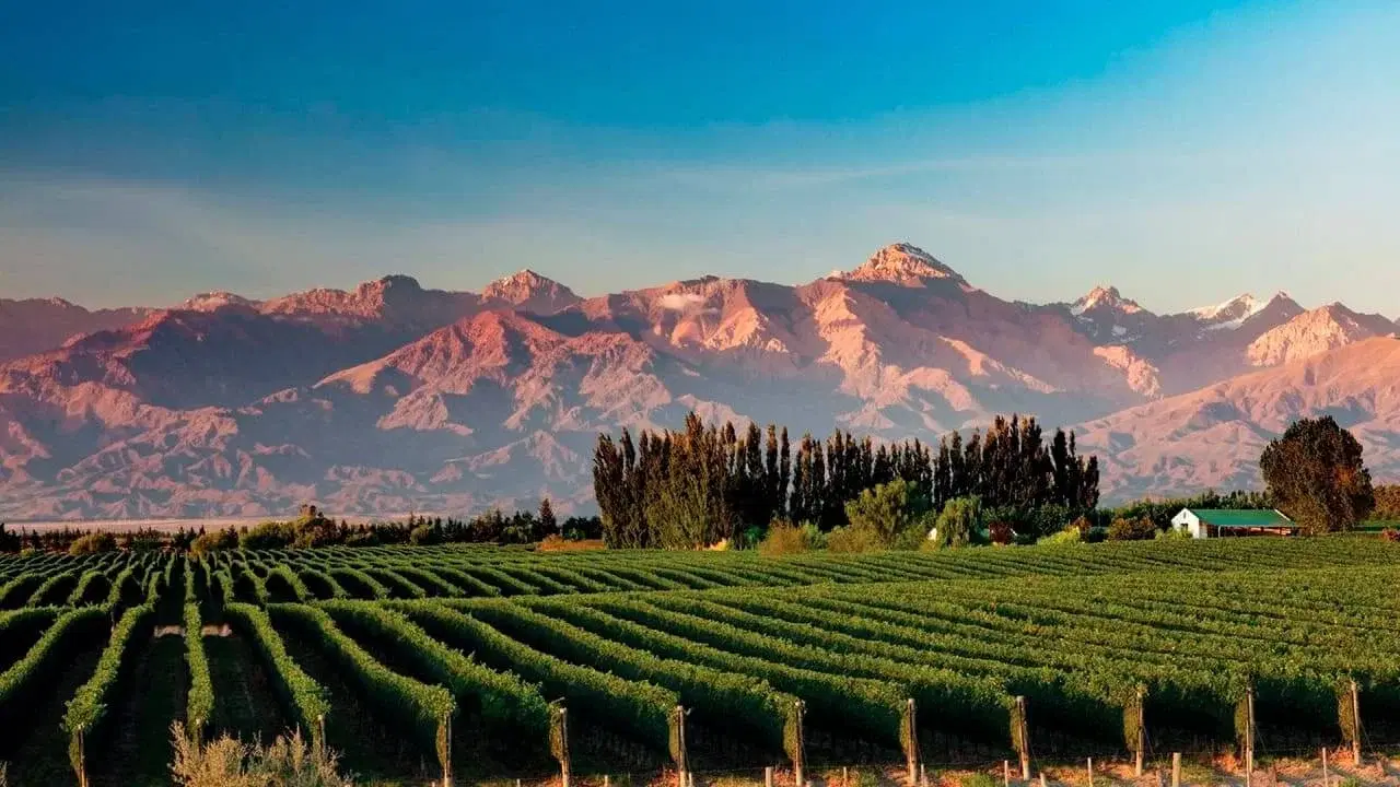 ¿Que hacer en Mendoza? guía completa para tu próxima aventura