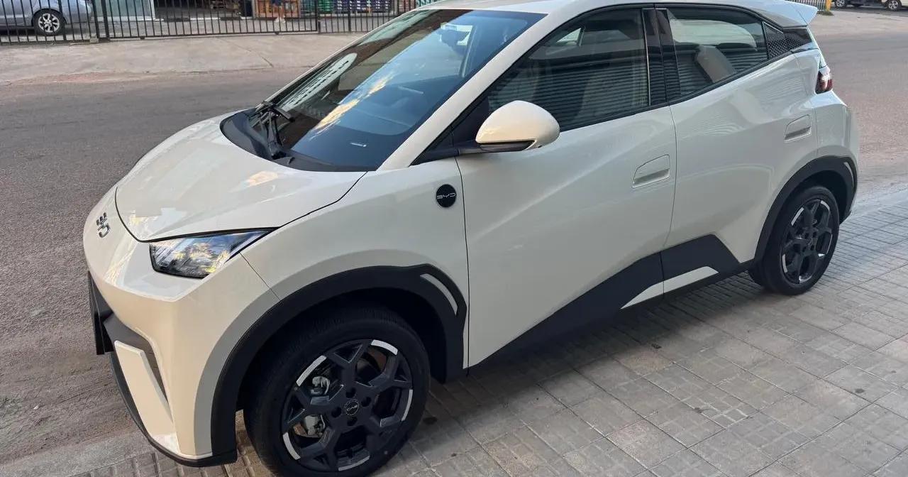 BYD Seagull