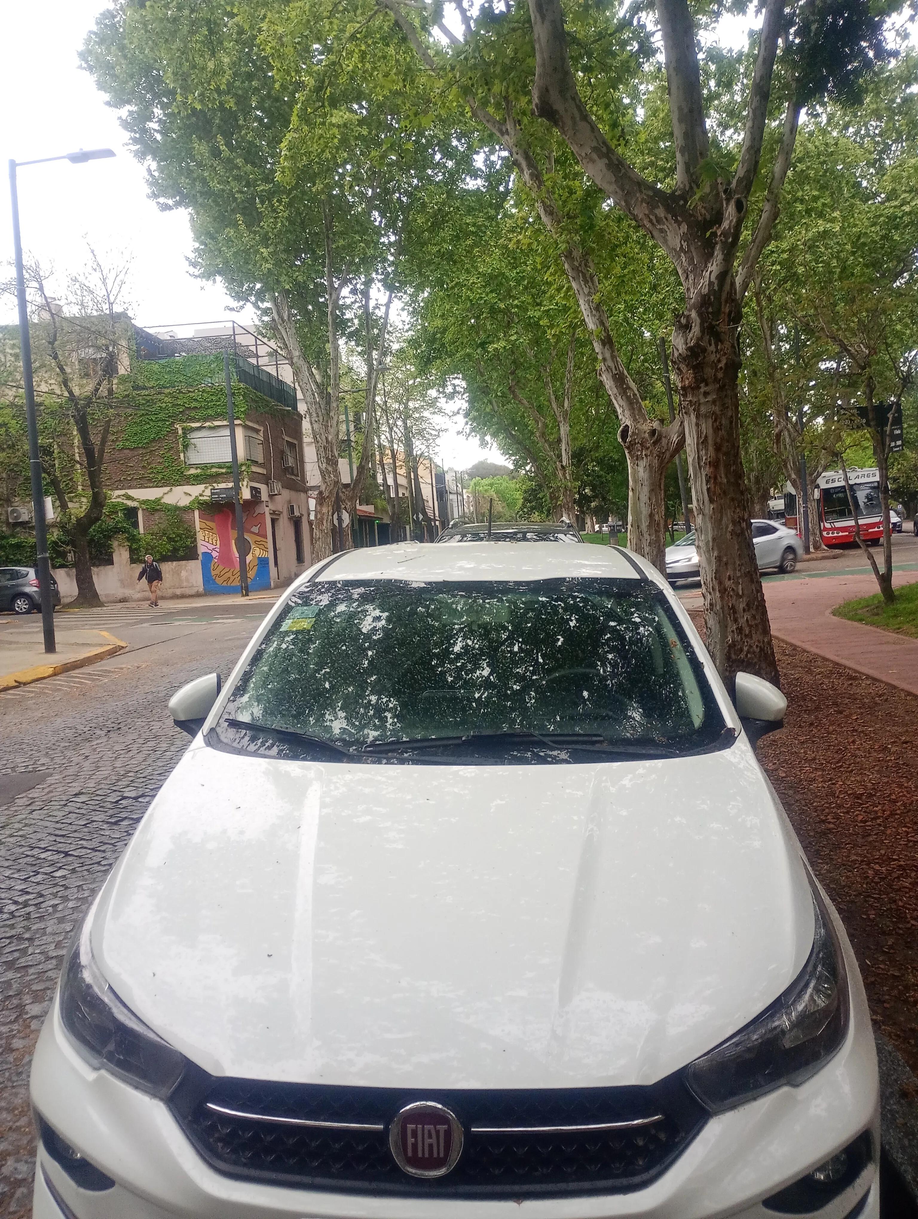 Fiat Cronos
